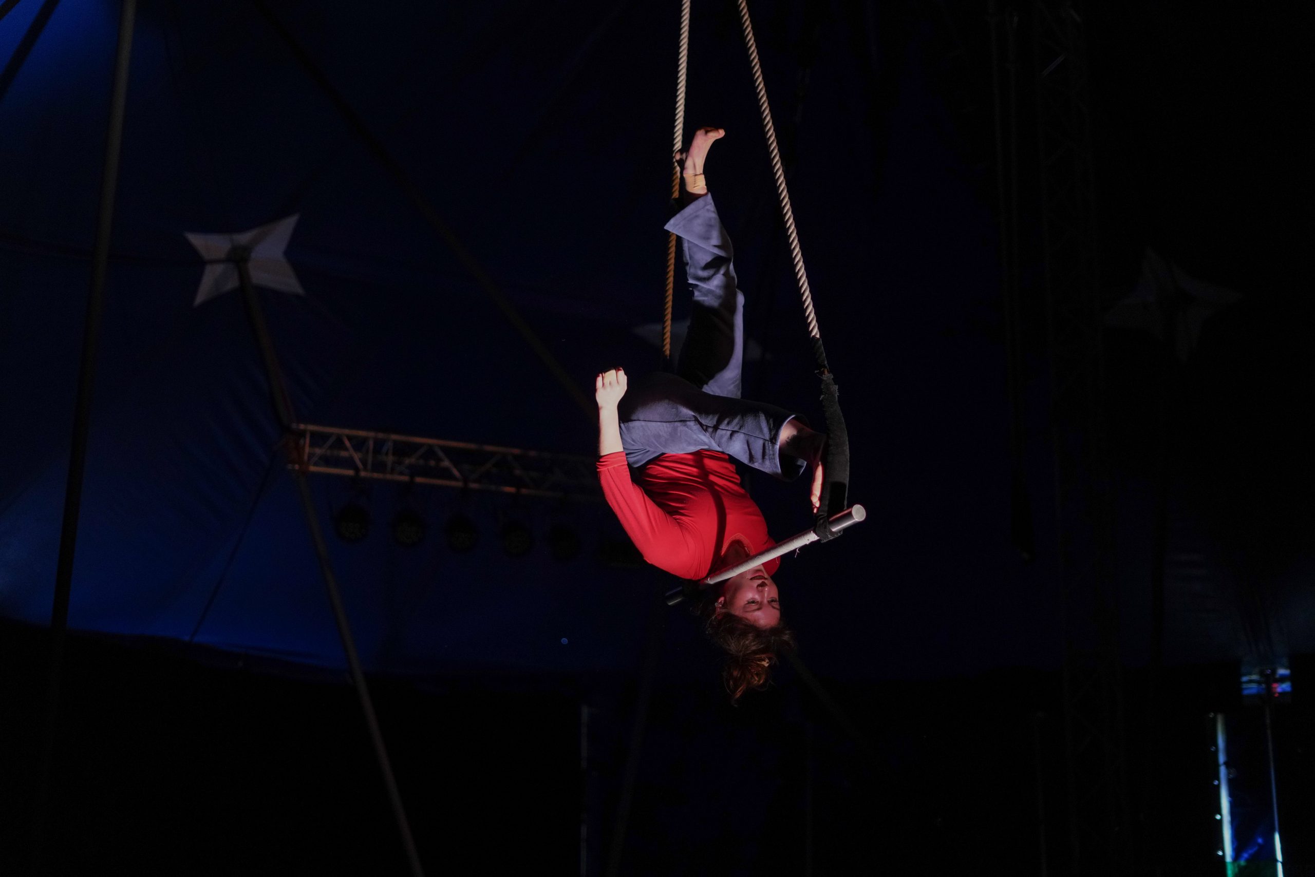La nuit du cirque